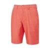 Ping Ashcroft Shorts - Fiesta Marl 2 Ping Ashcroft Shorts - Fiesta Marl -Golf Equipment Store Mens Ashcroft FIM Front